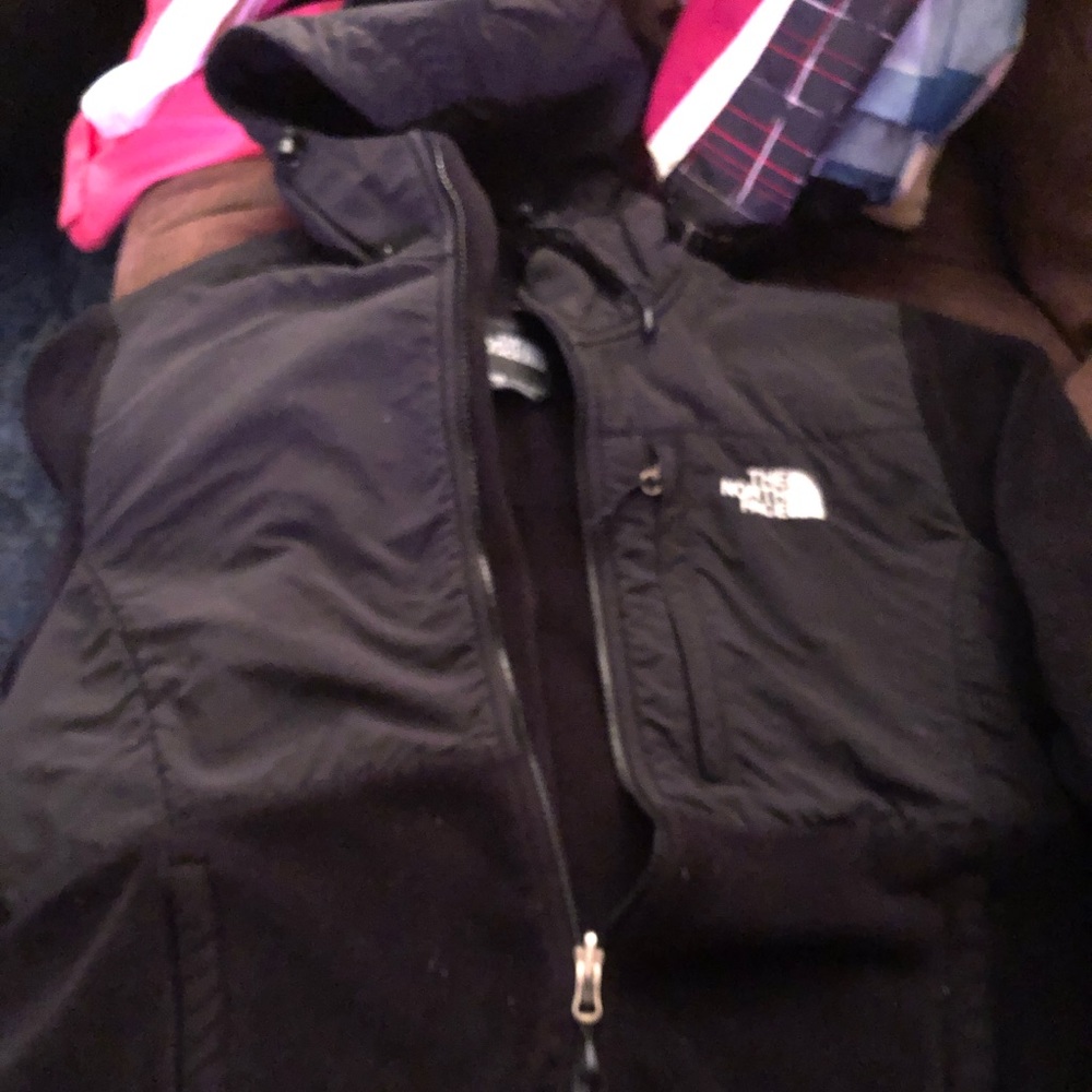 The north face fleece hoodie